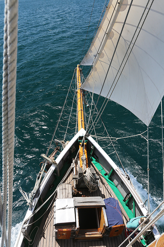 Sail on the R Tucker Thompson, Bay of Islands, NZ